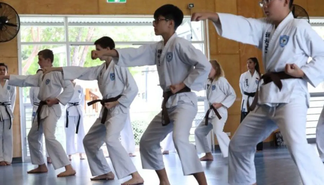 What is Taekwondo?