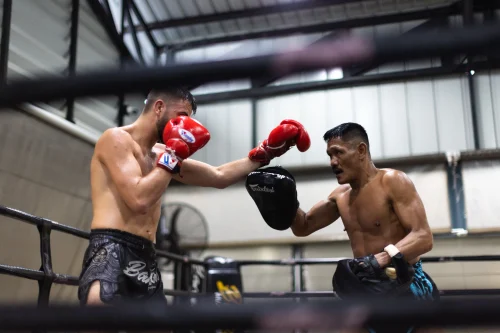 Muay Thai Training